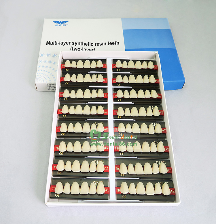 SDT-R203 Two Layer Acrylic Resin Teeth